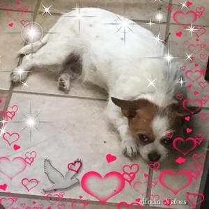 Meet your Posher, Bree